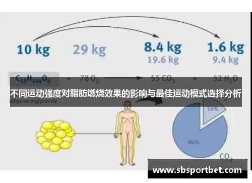 不同运动强度对脂肪燃烧效果的影响与最佳运动模式选择分析