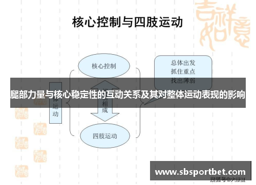 腿部力量与核心稳定性的互动关系及其对整体运动表现的影响